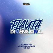 Flauta Dimensional