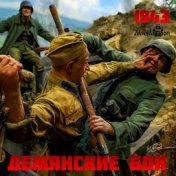 1943. Демянские бои