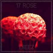 17 Rose