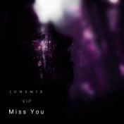 Miss You (VIP Edit)