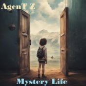 Mystery Life