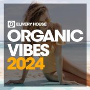 Organic Vibes 2024