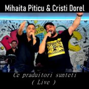 Ce praduitori sunteti (Live)