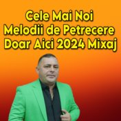 Cele Mai Noi Melodii de Petrecere Doar Aici 2024 Mixaj