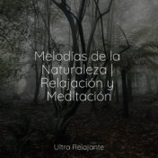 50 Melodías Tranquilas Para Meditar