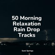 50 Morning Relaxation Rain Drop Tracks