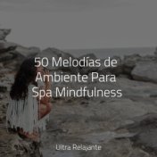 50 Melodías de Ambiente Para Spa Mindfulness