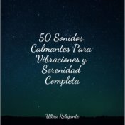 50 Sonidos Calmantes Para Vibraciones y Serenidad Completa