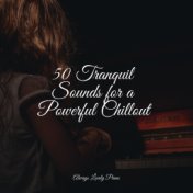 50 Tranquil Sounds for a Powerful Chillout