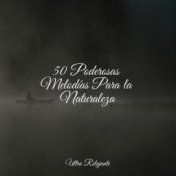 50 Poderosas Melodías Para la Naturaleza