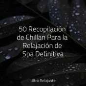 50 Recopilación de Chillan Para la Relajación de Spa Definitiva