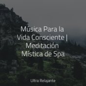 Música Para la Vida Consciente | Meditación Mística de Spa