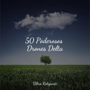 50 Poderosos Drones Delta