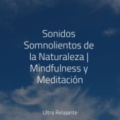 Sonidos Somnolientos de la Naturaleza | Mindfulness y Meditación