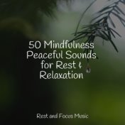 50 Mindfulness Peaceful Sounds for Rest & Relaxation