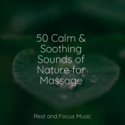 50 Calm & Soothing Sounds of Nature for Massage
