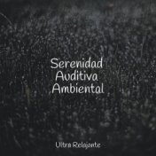 Serenidad Auditiva Ambiental