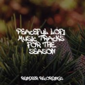 Peaceful Lofi Music Tracks for the Season