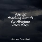 #50 50 Soothing Sounds for Absolute Deep Sleep