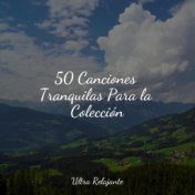 50 Canciones Tranquilas Para la Colección