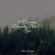 50 Canciones Relajantes Para El Spa