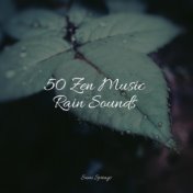 50 Zen Music Rain Sounds