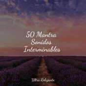 50 Mantra Sonidos Interminables