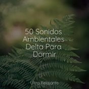 50 Sonidos Ambientales Delta Para Dormir