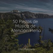 50 Piezas de Música de Atención Plena