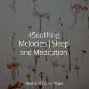 #Soothing Melodies | Sleep and Meditation