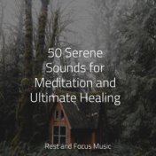 50 Serene Sounds for Meditation and Ultimate Healing