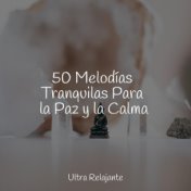 50 Melodías Tranquilas Para la Paz y la Calma