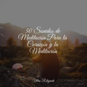 50 Sonidos de Meditación Para la Curación y la Meditación