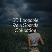 50 Loopable Rain Sounds Collection