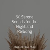 50 Serene Sounds for the Night and Relaxing