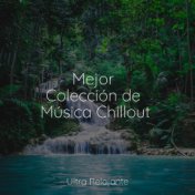 Mejor Colección de Música Chillout