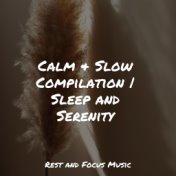 Calm & Slow Compilation | Sleep and Serenity
