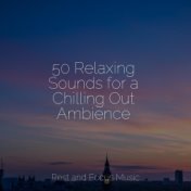 50 Relaxing Sounds for a Chilling Out Ambience