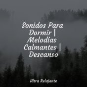 Sonidos Para Dormir | Melodías Calmantes | Descanso