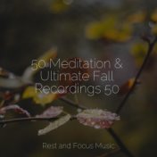 50 Meditation & Ultimate Fall Recordings 50