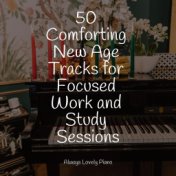 50 Comforting New Age Tracks for Focused Work and Study Sessions