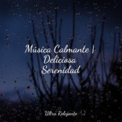 Música Calmante | Deliciosa Serenidad