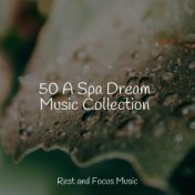 50 A Spa Dream Music Collection