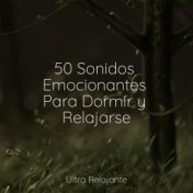 50 Sonidos Emocionantes Para Dormir y Relajarse