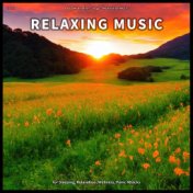 ! ! ! ! Relaxing Music for Sleeping, Relaxation, Wellness, Panic Attacks