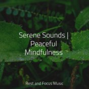 Serene Sounds | Peaceful Mindfulness