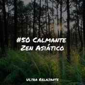 #50 Calmante Zen Asiático