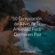 50 Compilación de Alivio de la Ansiedad Para Dormir en Paz