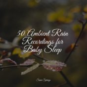 50 Ambient Rain Recordings for Baby Sleep