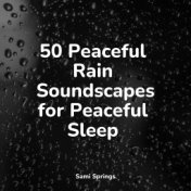 50 Peaceful Rain Soundscapes for Peaceful Sleep